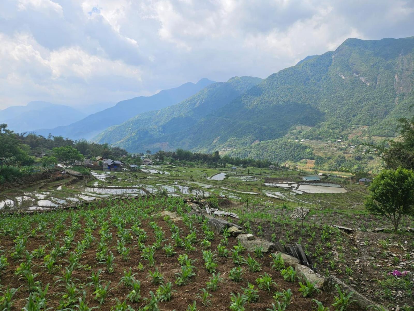 Sue Pa Family Trekking Homestay サパ エクステリア 写真
